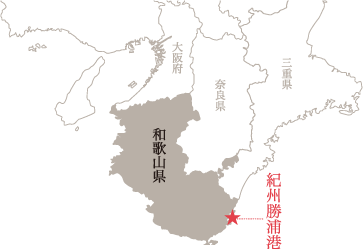紀州勝浦港の地図