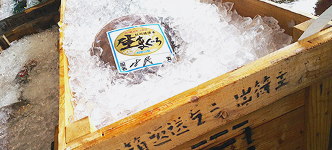 木下水産物業務内容イメージ